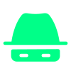 Ethical Hacking
